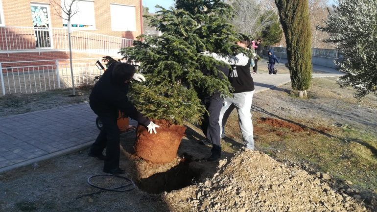 ARBOLITO NOEL YA OCUPA SU SITIO